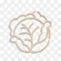 水果蔬菜图标 卷心菜图标 食品图标-空若网 水果蔬菜图标 卷心菜图标 食品图标-空若网
