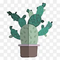 植物 仙人掌 花盆-空若网 植物 仙人掌 花盆-空若网