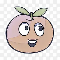 ��ͨ ���� ֲ��-������