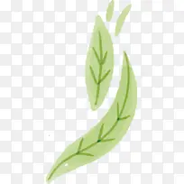 叶 植物茎 草-空若网 叶 植物茎 草-空若网