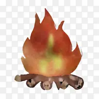 Ҷ�� ֲ�� ����ѧ-������