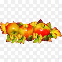 ��ȻʳƷ �߲� ����ʳƷ-������