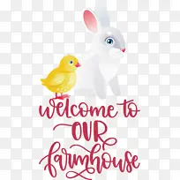 农舍 鸟类 喙-空若网 农舍 鸟类 喙-空若网