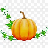 Ë®²Ê» ÓÍÆá ʪīˮ-¿ÕÈôÍø Ë®²Ê» ÓÍÆá ʪīˮ-¿ÕÈôÍø