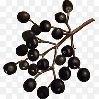 水果-空若网 水果-空若网