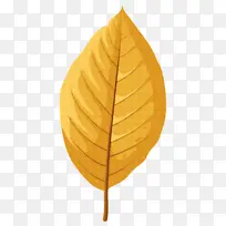 叶 生物学 植物-空若网 叶 生物学 植物-空若网