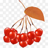 ��ȻʳƷ ֲ�� ˮ��-������