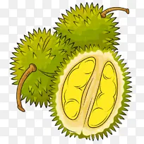 植物 榴莲 树木-空若网 植物 榴莲 树木-空若网