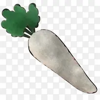 叶 植物结构 植物-空若网 叶 植物结构 植物-空若网