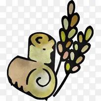 昆虫 叶子 传粉者-空若网 昆虫 叶子 传粉者-空若网