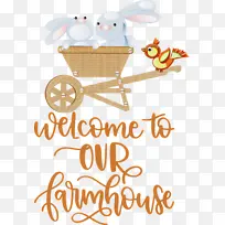 ũ�� ���� �Ǳ�-������