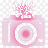 相机 花 花瓣-空若网 相机 花 花瓣-空若网