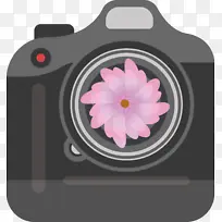 相机 花 花瓣-空若网 相机 花 花瓣-空若网