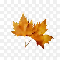 Ë®²Ê» ÑÕÁÏ ÊªÄ«-¿ÕÈôÍø Ë®²Ê» ÑÕÁÏ ÊªÄ«-¿ÕÈôÍø