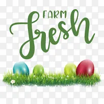 ũ������ ����ڲʵ� ��-������