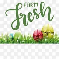 农场新鲜 复活节彩蛋 草-空若网 农场新鲜 复活节彩蛋 草-空若网