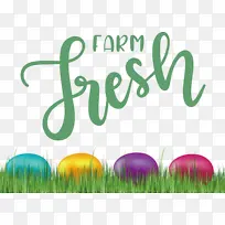 农场新鲜 复活节彩蛋 草-空若网 农场新鲜 复活节彩蛋 草-空若网