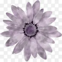 �� ���� ޹�²�-������