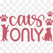 猫 标志 仪表-空若网 猫 标志 仪表-空若网