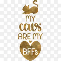 è ��־ �Ǳ�-������