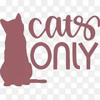 è �̱� �Ǳ�-������