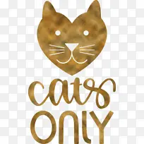 猫 胡须 猫状-空若网 猫 胡须 猫状-空若网