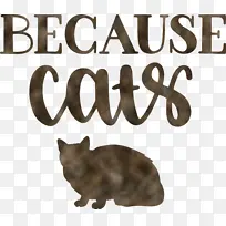 猫 鼻子 胡须-空若网 猫 鼻子 胡须-空若网