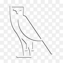 ����ͼ�� èͷӥͼ�� ��ѧ-������