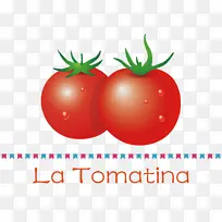 灌木番茄 天然食品 超级食品-空若网 灌木番茄 天然食品 超级食品-空若网