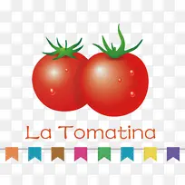 天然食品 灌木番茄 超级食品-空若网 天然食品 灌木番茄 超级食品-空若网