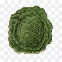 小白菜叶菜-卷心菜-空若网 小白菜叶菜-卷心菜-空若网