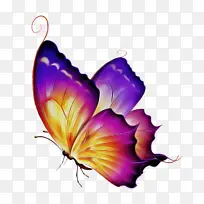 蝴蝶 昆虫 十字绣图案-空若网 蝴蝶 昆虫 十字绣图案-空若网