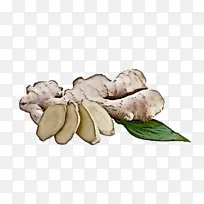块茎 配料 水果-空若网 块茎 配料 水果-空若网