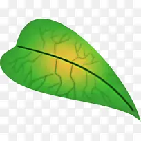 Ҷ�� ��ɫ ֲ��ṹ-������