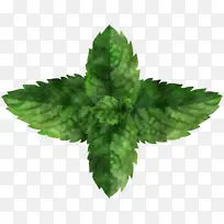 Ҷ�� ҩ�� ��ѧ-������