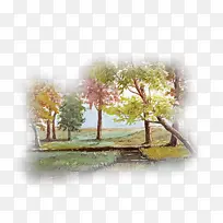 水彩画 画 树-空若网 水彩画 画 树-空若网