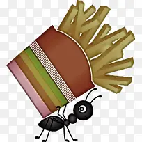 �� �� ��ѧ-������