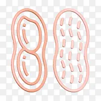 健康食品图标 花生图标 线条-空若网 健康食品图标 花生图标 线条-空若网