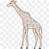 长颈鹿 米 动物雕像-空若网 长颈鹿 米 动物雕像-空若网