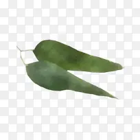 叶 喙 植物-空若网 叶 喙 植物-空若网