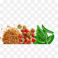 ����ʳƷ ��ȻʳƷ �߲�-������