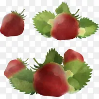 ��ȻʳƷ ����ʳƷ ����ʳƷ-������