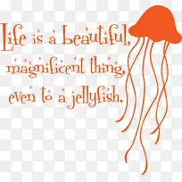 水母 线 米-空若网 水母 线 米-空若网