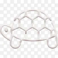 海龟图标 动物图标 氨基酸-空若网 海龟图标 动物图标 氨基酸-空若网