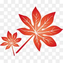 叶 花 对称-空若网 叶 花 对称-空若网