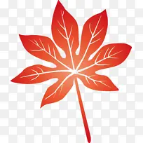 叶 花 对称-空若网 叶 花 对称-空若网