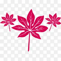 叶 花 对称-空若网 叶 花 对称-空若网