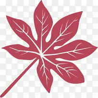 叶 花 对称-空若网 叶 花 对称-空若网