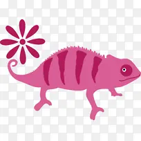 变色龙-空若网 变色龙-空若网