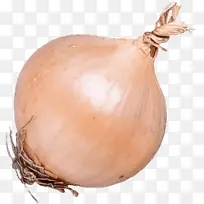 蔬菜 青葱 配料-空若网 蔬菜 青葱 配料-空若网